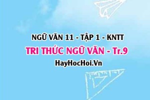 Soạn bài Tri thức ngữ văn trang 9 Ngữ văn lớp 11 Kết nối tri thức tập 1